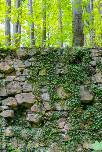 Fragmęt muru, Rezerwat przyrody Jeziorko Daisy – utworzony w 1998 r. geologiczno-leśny rezerwat przyrody nieożywionej, wchodzący w skład Książańskiego Parku Krajobrazowego