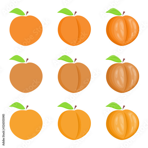A vector drawn peach illustration with various colors and amount of details