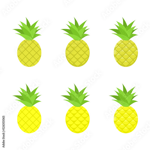 A vector drawn pineapple illustration with various colors and amount of details