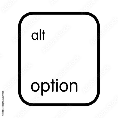 Keyboard left option key
