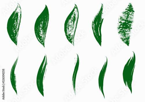 Grunge dry brush leaves set, vector, isolated