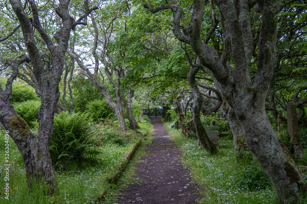 Weg durch den Alten Friedhof Gamli Kirkjugarður in Torshavn