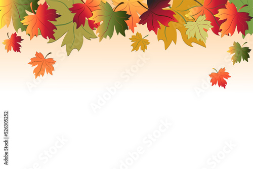 Autumn background - colorful maple leaves. Vector image.