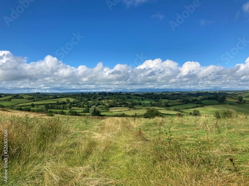 Rolling hills in co Cavan countryside  Ireland
