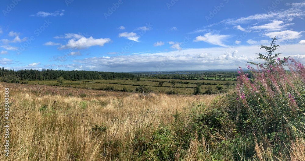 Countryside, Rooskey, co Leitrim, Ireland