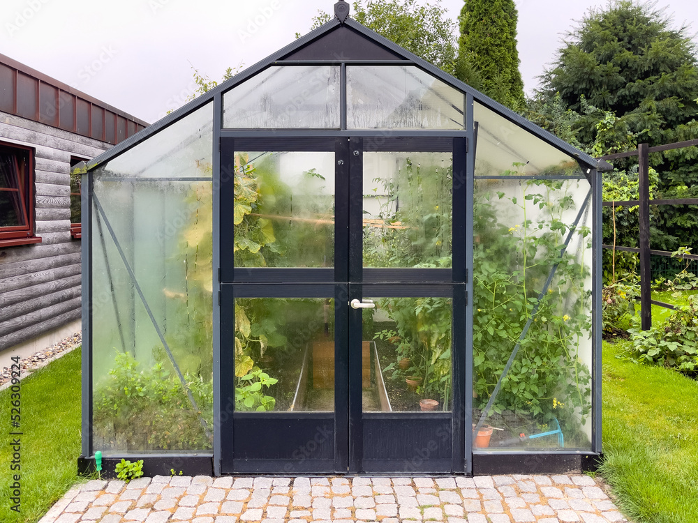 in a  large greenhouse thrive many vegetables