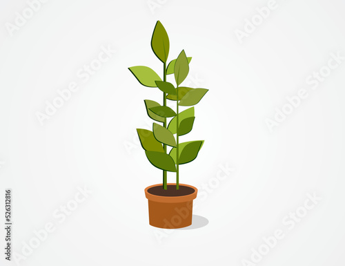 Home flower in a pot. Vector icon.