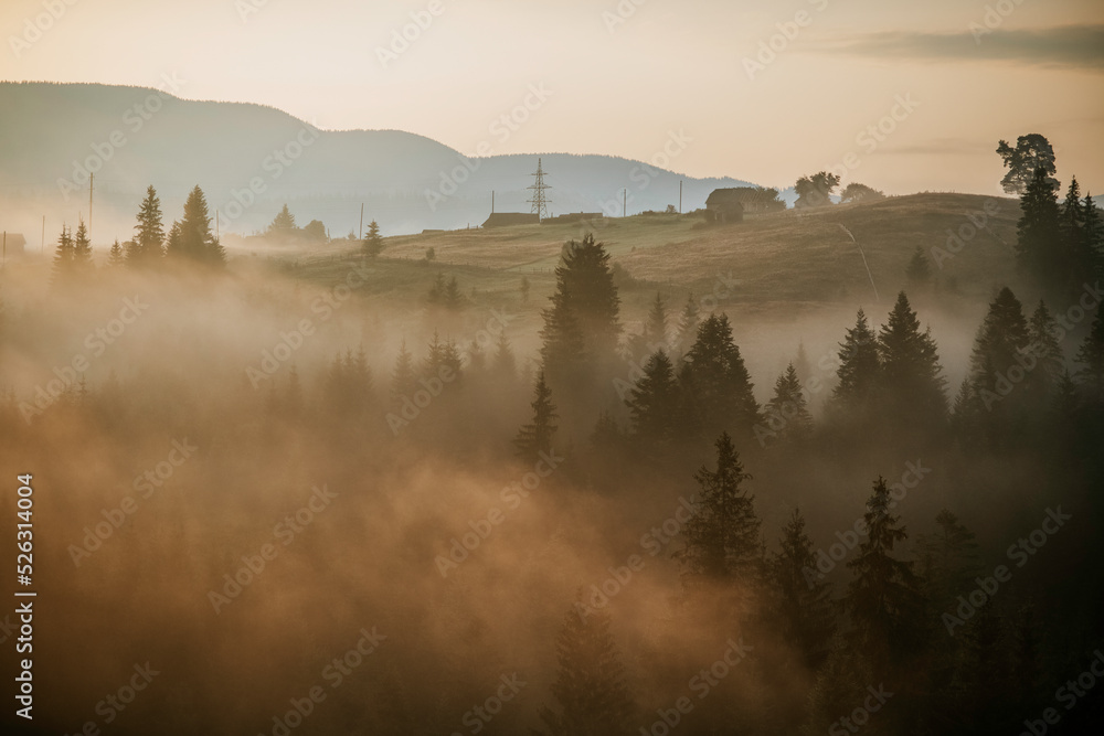 Foggy summer sunrise in the Carpathian mountains, Vorokhta village. Beautiful morning landscape with hills, cloudy sky and mist between fir trees