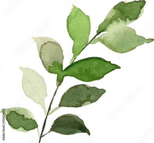 Green Leaves Watercolor