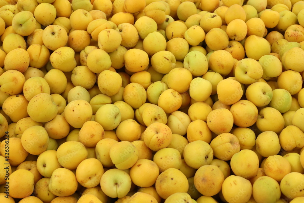 Vegetables and fruits are sold at a bazaar in Israel. Vegetables and fruits are sold at a bazaar in Israel.