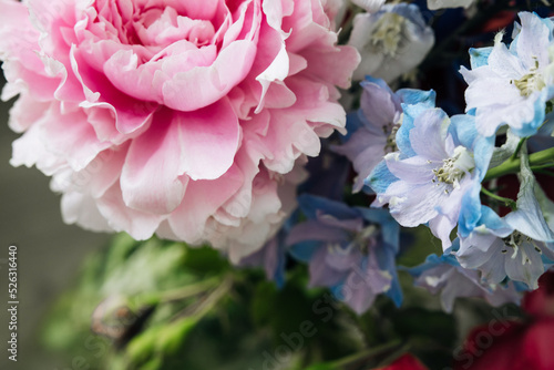 delicate bouquet of delphiniums and large pink peony