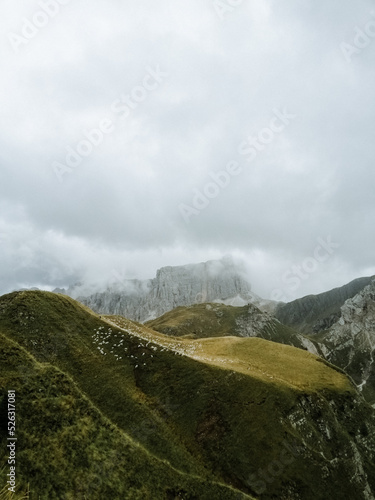 Rebaño de ovejas en las montañas nubladas © Batirtze