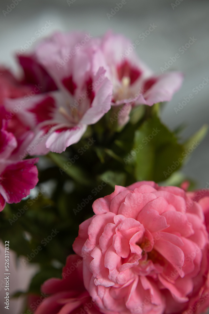 Fototapeta premium cute bouquet compliment closeup in pink colors, roses and pink flowers