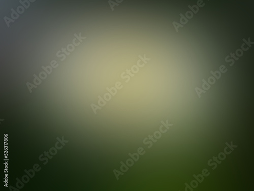 Top view, Abstract blurred dark white green color painted texture background for graphic design.wallpaper, illustration, card, gradiant backdrop