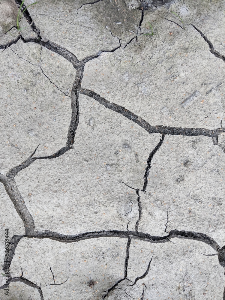 Obraz premium dry gray earth with cracks