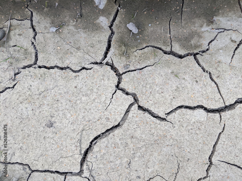 Obraz premium dry gray earth with cracks