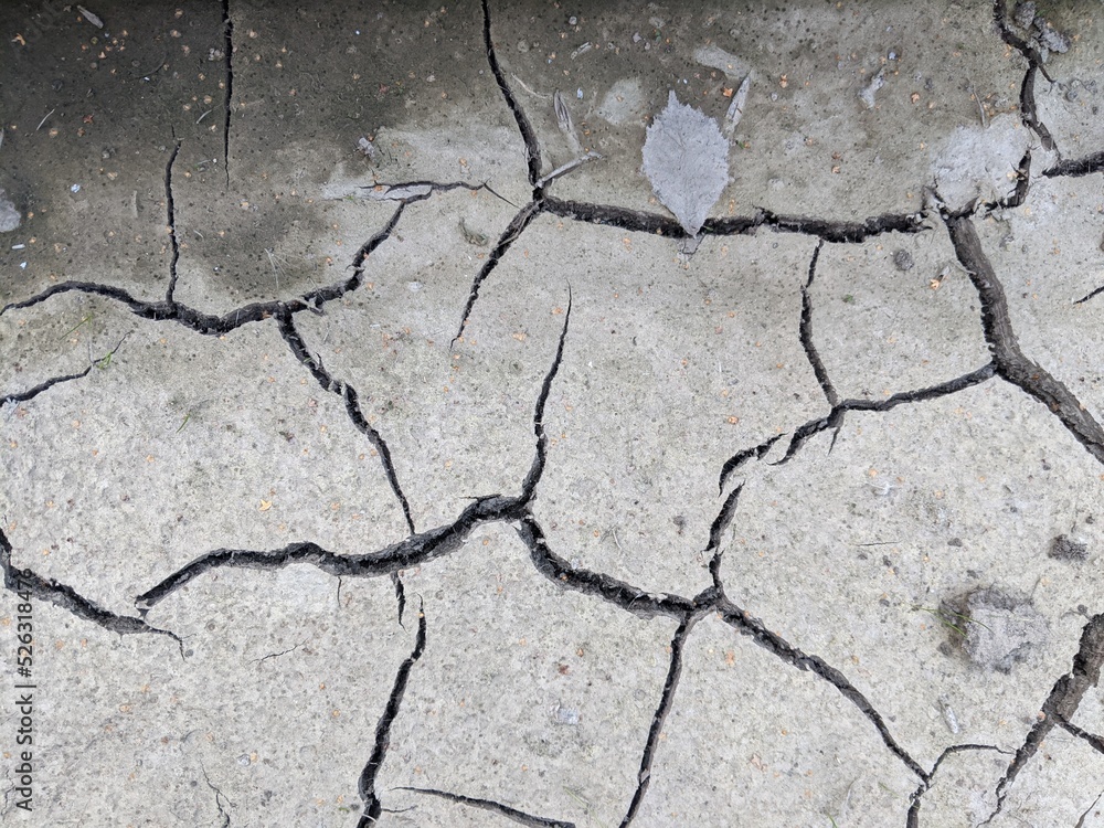 Obraz premium dry gray earth with cracks