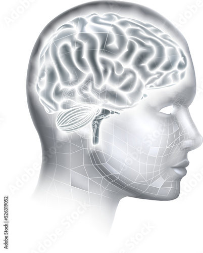 Human Brain AI Head Face In...