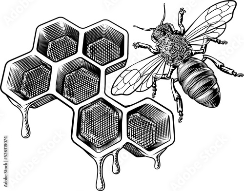 Honey Bumble Bee and Honeyc...