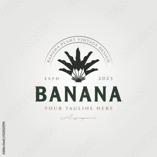 vector of banana tree logo template symbol illustration design