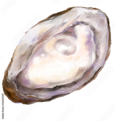 Fresh raw oyster watercolor painting seafood shellfish art illustration