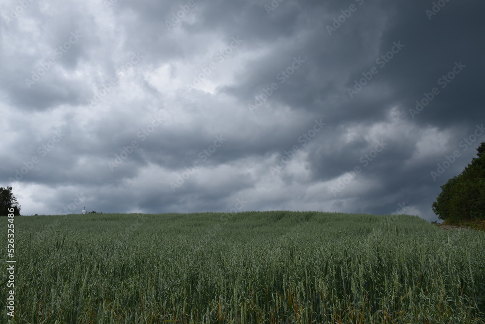 Fototapeta premium A sky before the storm, Sainte-Apolline, Québec, Canada