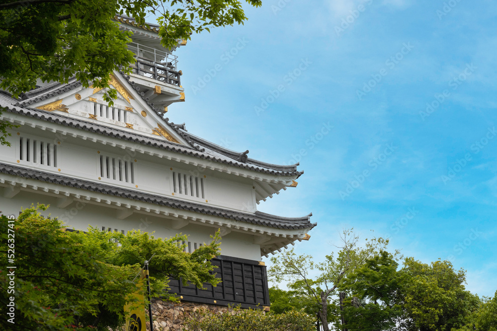 山の頂に立つ岐阜城(稲葉山城) 山の頂に立つ岐阜城(稲葉山城)