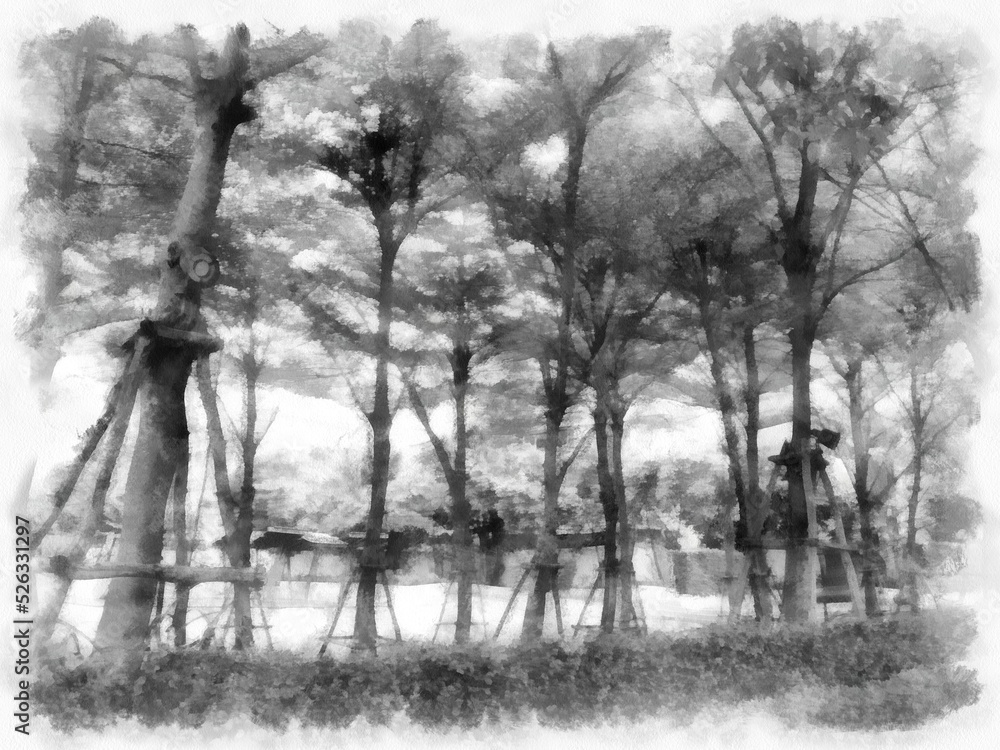 Obraz premium group of trees in the garden watercolor style illustration impressionist painting.