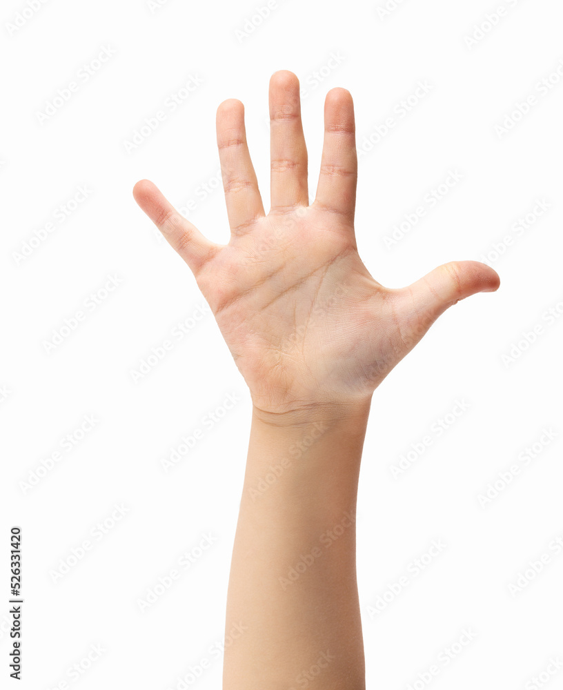 Young child palm hand in front isolated on white Young child palm hand in front isolated on white