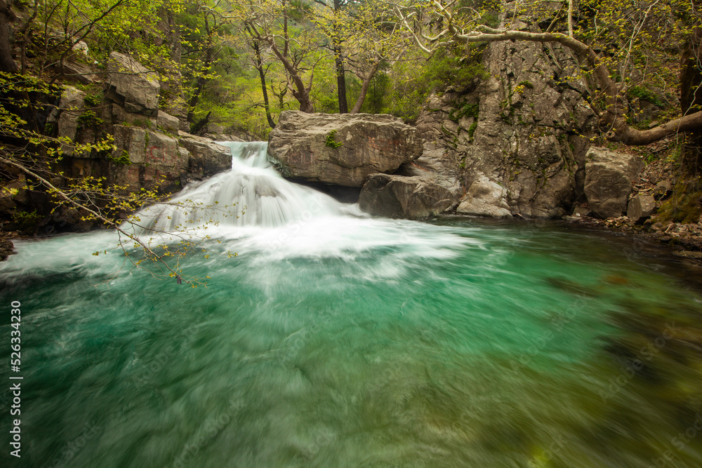 Fototapeta premium waterfall in the forest