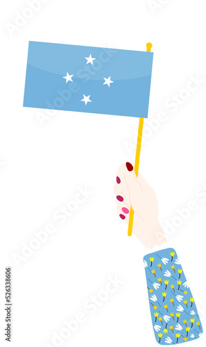 Micronesia Flag hand drawn,Dollar hand drawn