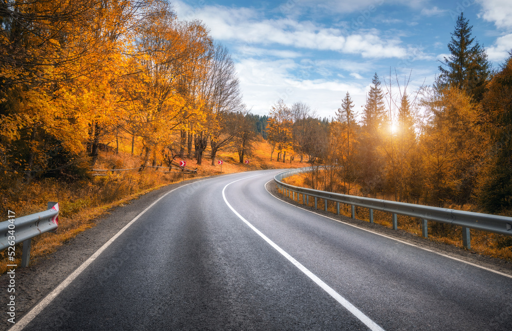 Road in autumn forest at sunset. Beautiful empty mountain roadway, trees with orange foliage, overcast sky. Landscape with road through the woods in fall. Travel in europe. Road trip. Transportation Road in autumn forest at sunset. Beautiful empty mountain roadway, trees with orange foliage, overcast sky. Landscape with road through the woods in fall. Travel in europe. Road trip. Transportation
