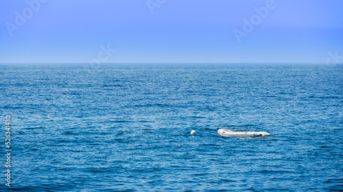 Inflatable boat alone in the blue sea