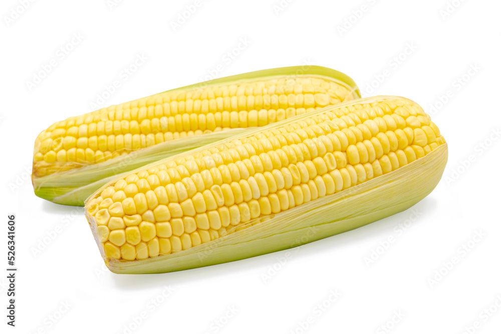 Corn isolated on white background with clipping path Corn isolated on white background with clipping path