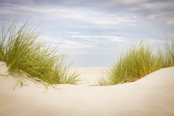 Keuken achterwand Duingras Duinlandschap met bewolkte hemel  © Andreas