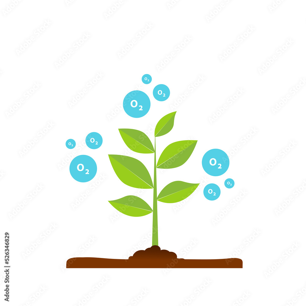 Suction tree gas and emissions (CO2,O2) Suction tree gas and emissions (CO2,O2)