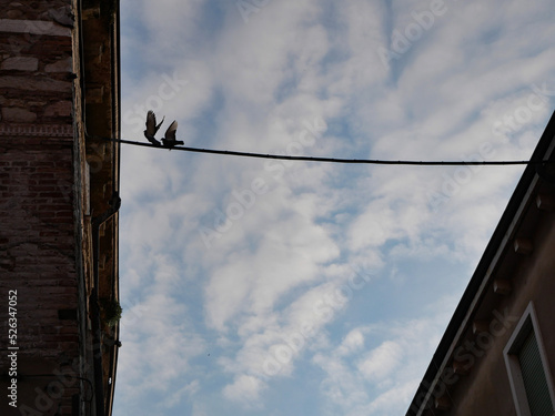 barbed wire against sky