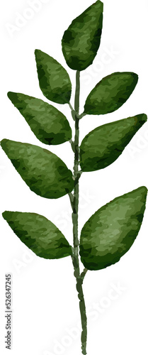 Watercolor Leaves Illustration leaf for Decorative Element