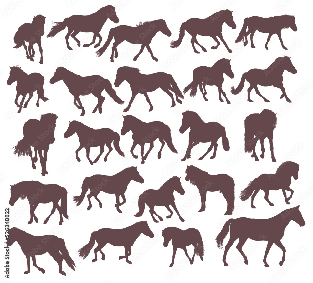 Set of silhouettes of wild free horses