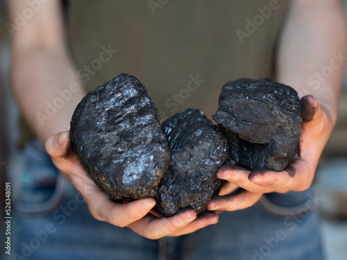 Węgiel - bryłki węgla w dłoniach photo