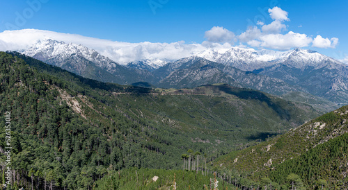 Scenic view of snowy peaks with forest in foreground, Corsica, France © DGPhotography