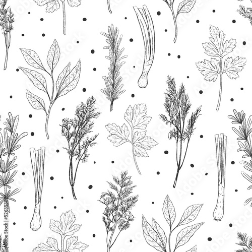 monochrome seamless pattern from herbs. Laurel, rosemary, dill, parsley, basil. Black and white endless texture. Vector illustration. Vintage.