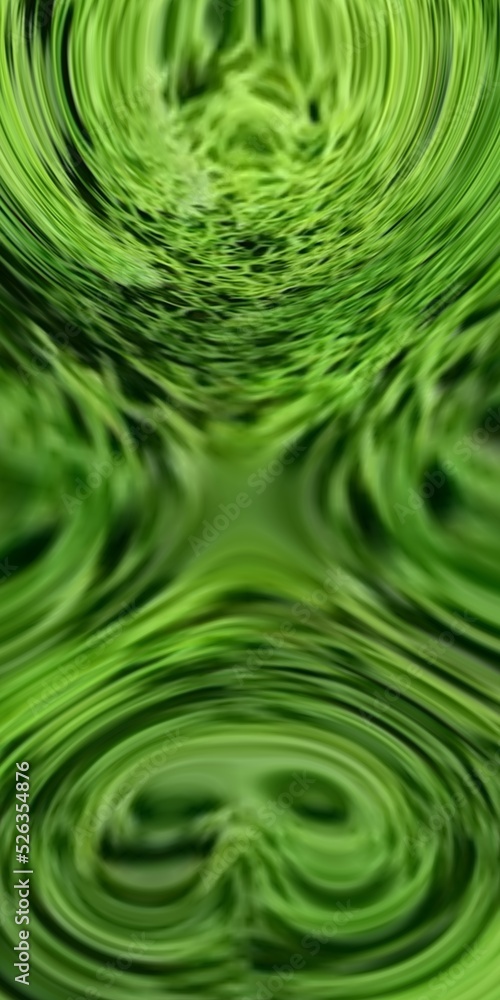 single white dividing line through rain forest with lush foliage on both the right and the left single white dividing line through rain forest with lush foliage on both the right and the left