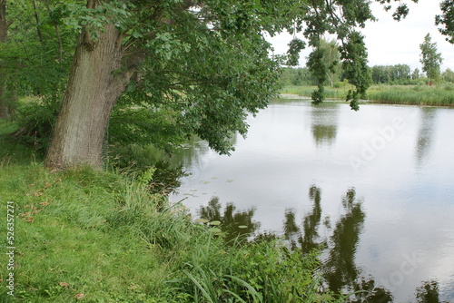 Krajobraz nadmorski. Jezioro. Polska - Pomorze.