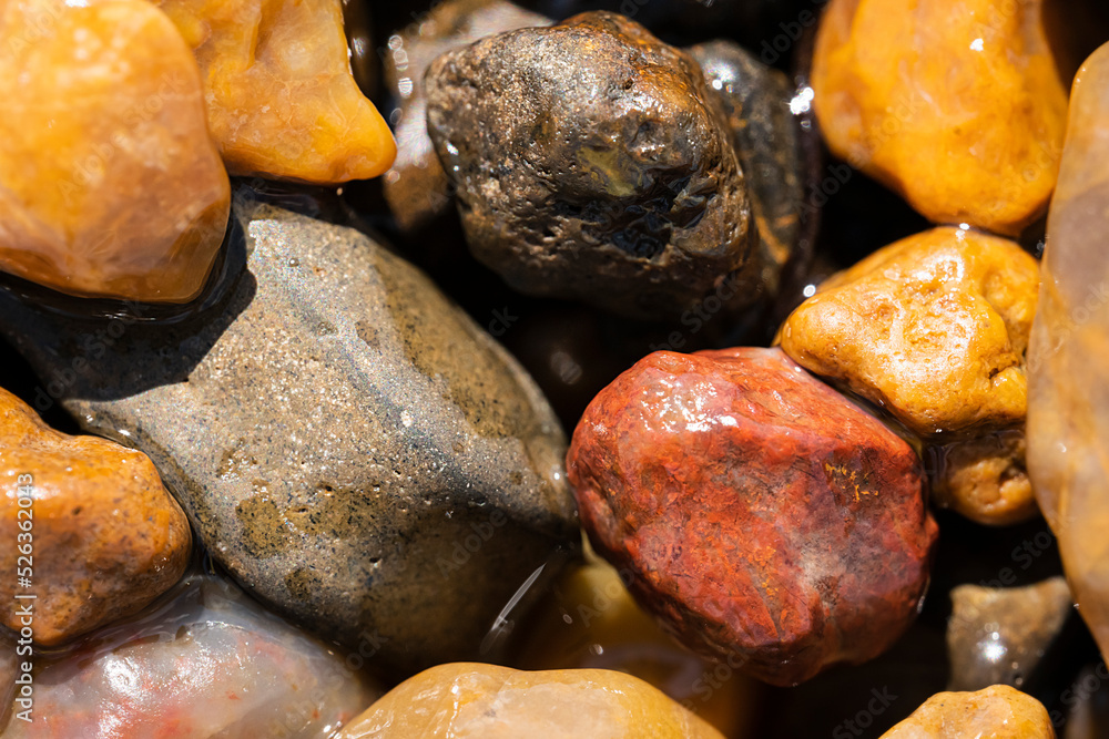 Round colorful sea pebbles. Abstract natural background. High quality photo Round colorful sea pebbles. Abstract natural background. High quality photo
