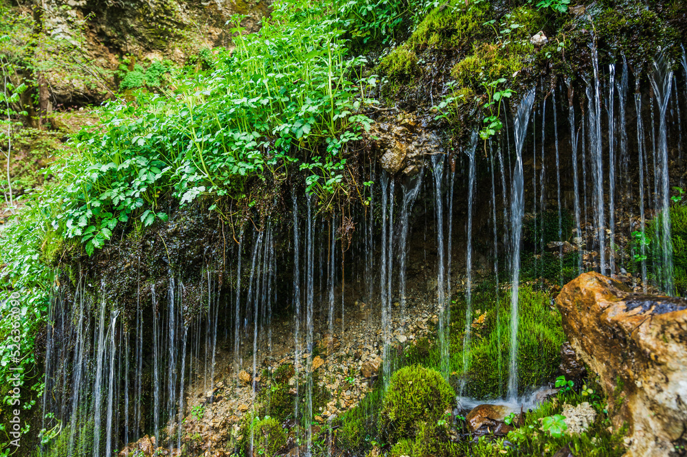 山から湧き出す水 Stock 写真 | Adobe Stock