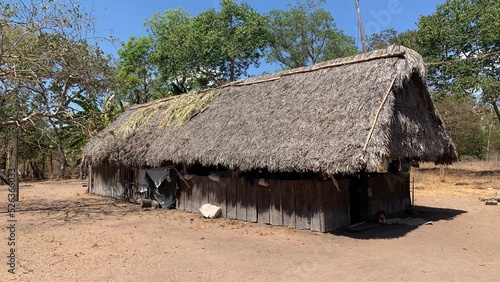 Obraz na plátně thatched roof house