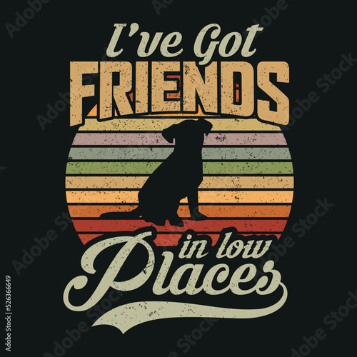 I've Got Friends In Low Places t shirt design