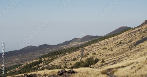 Panoramic view with typical summer vegetation of the Etna volcano