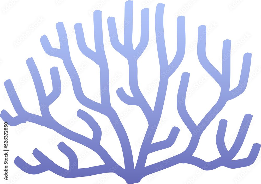 Seaweed, underwater plants. Seaweed, underwater plants.